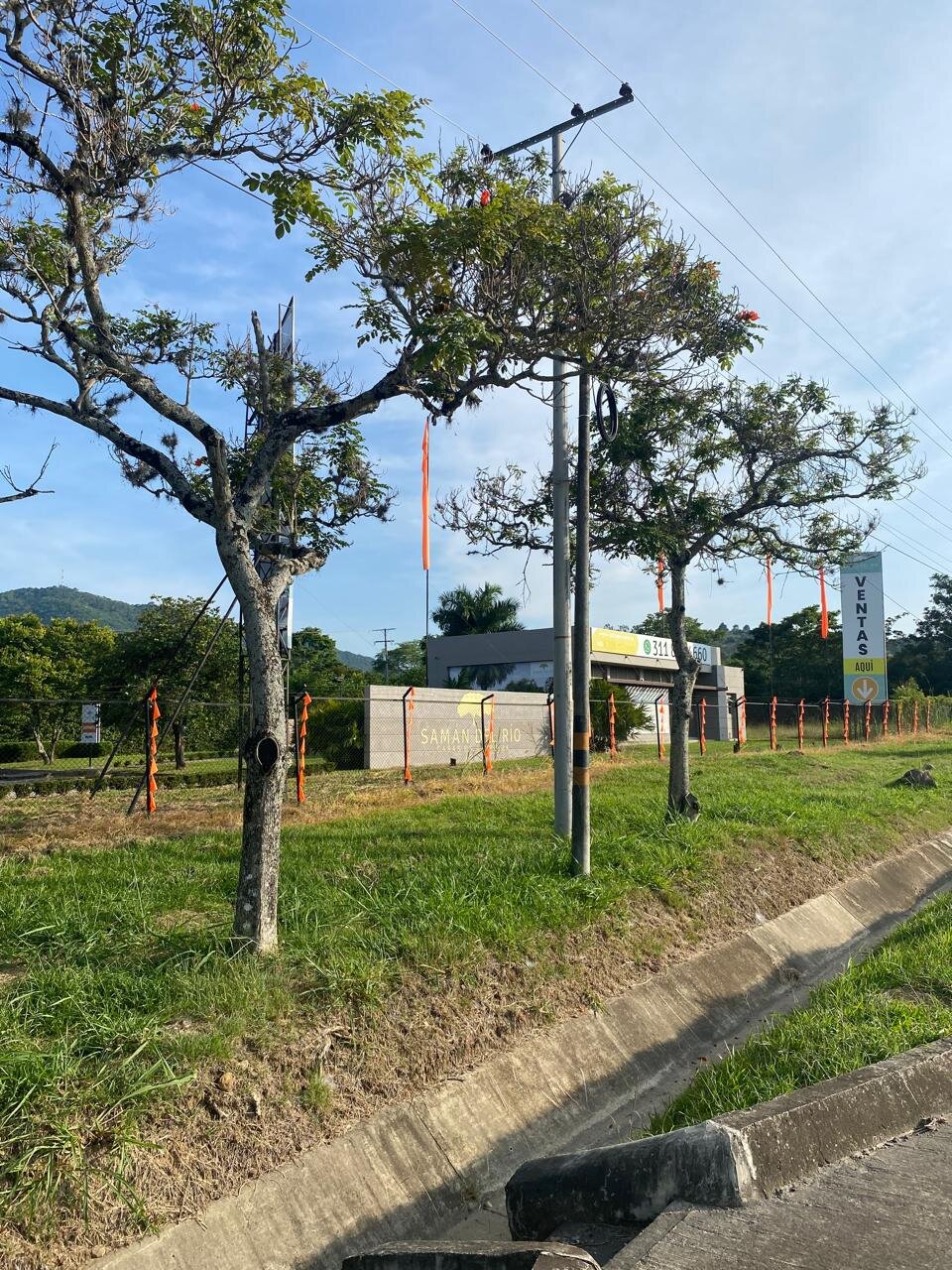 Imagen de WhatsApp 2025-01-28 a las 13.46