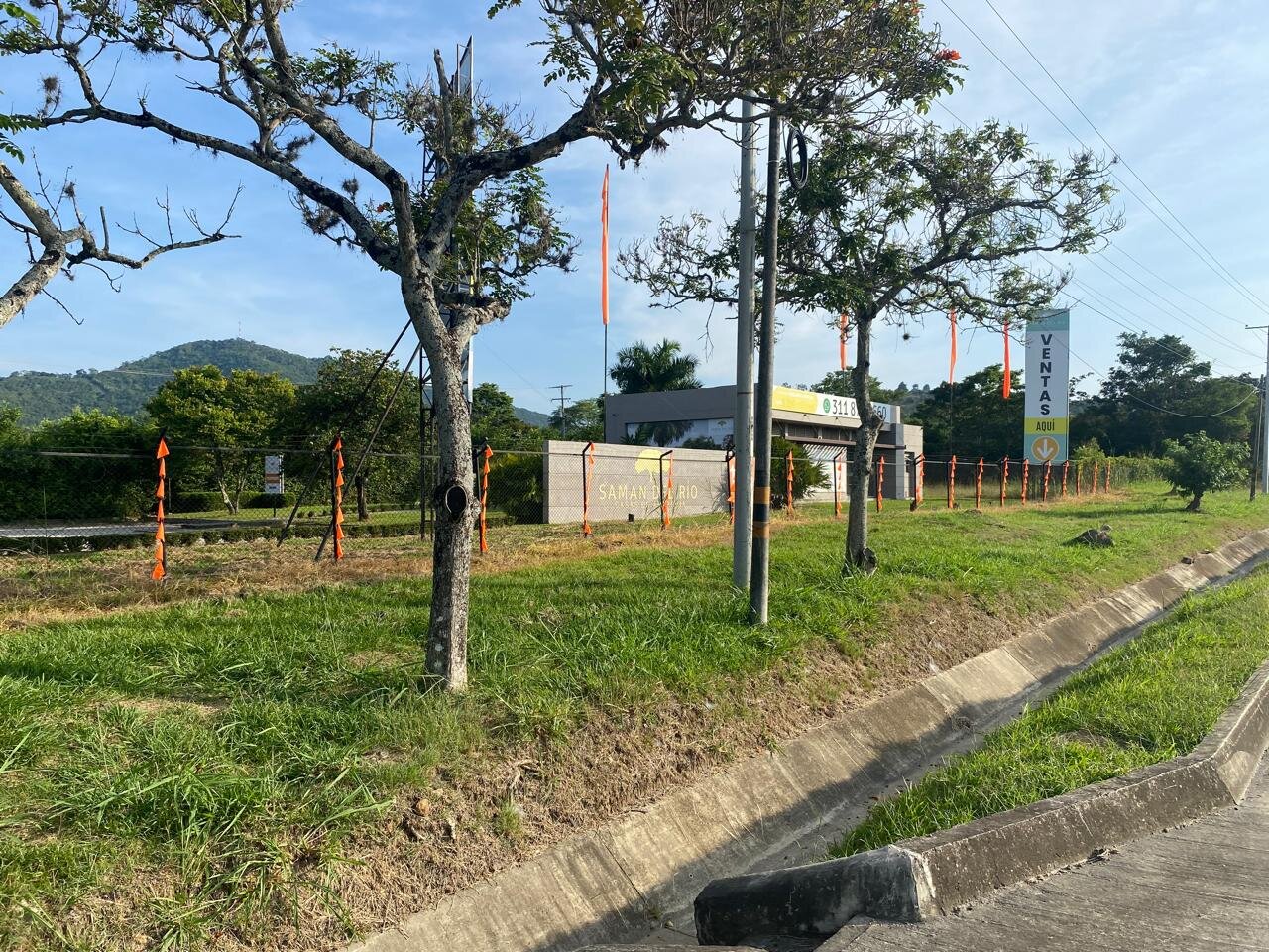 Imagen de WhatsApp 2025-01-28 a las 13.46