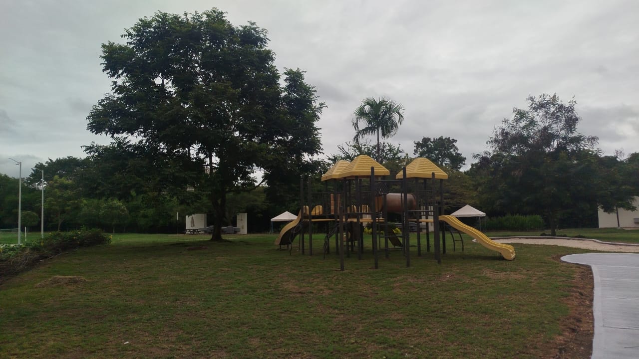 IMG-20250616-WA0061