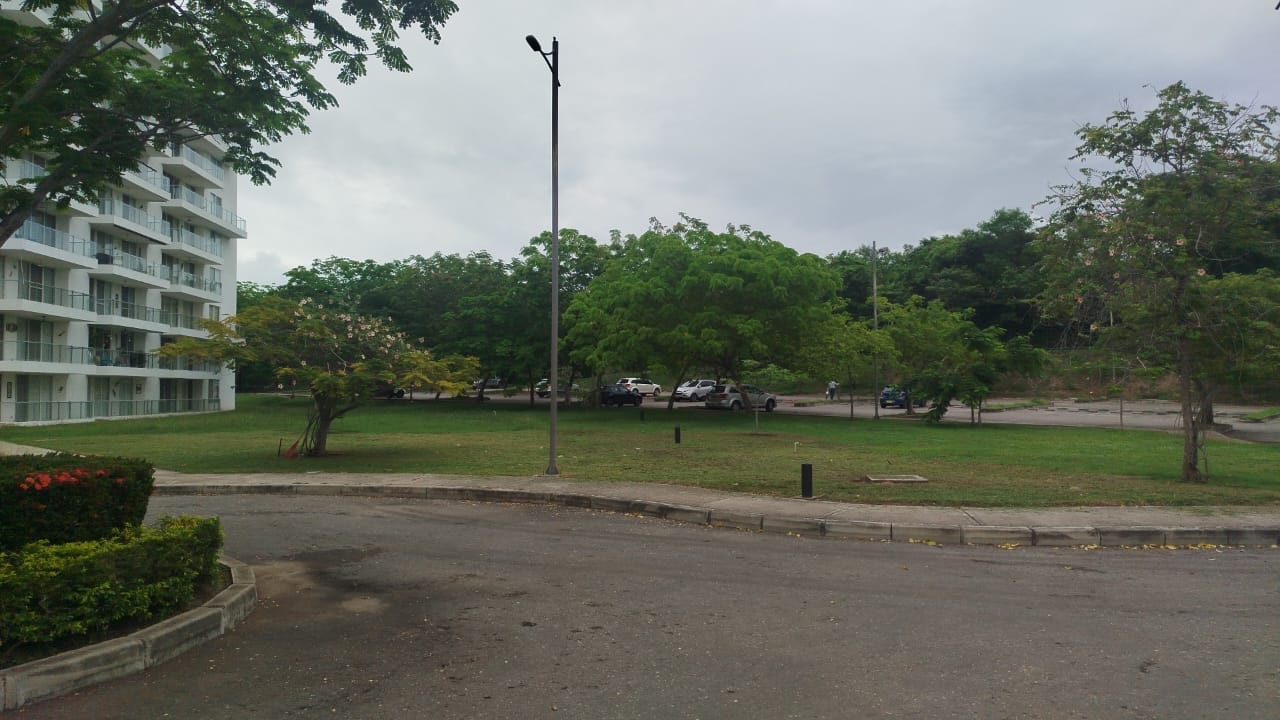 IMG-20250616-WA0071